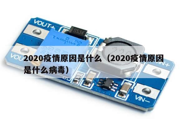 2020疫情原因是什么(2020疫情原因是什么病毒)