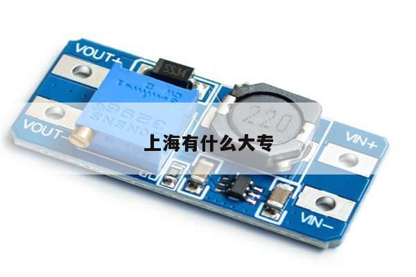 上海有什么大专